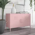 Cache Contemporary Bashful Pink 2-Door Metal Locker