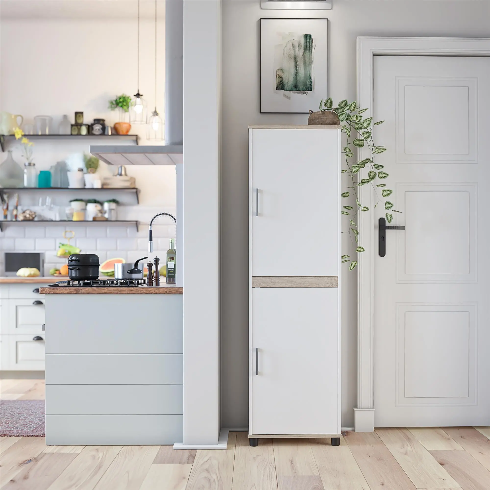 https://static.rcwilley.com/products/112636942/Whitmore-White-2-Door-Kitchen-Pantry-Cabinet-rcwilley-image1.webp