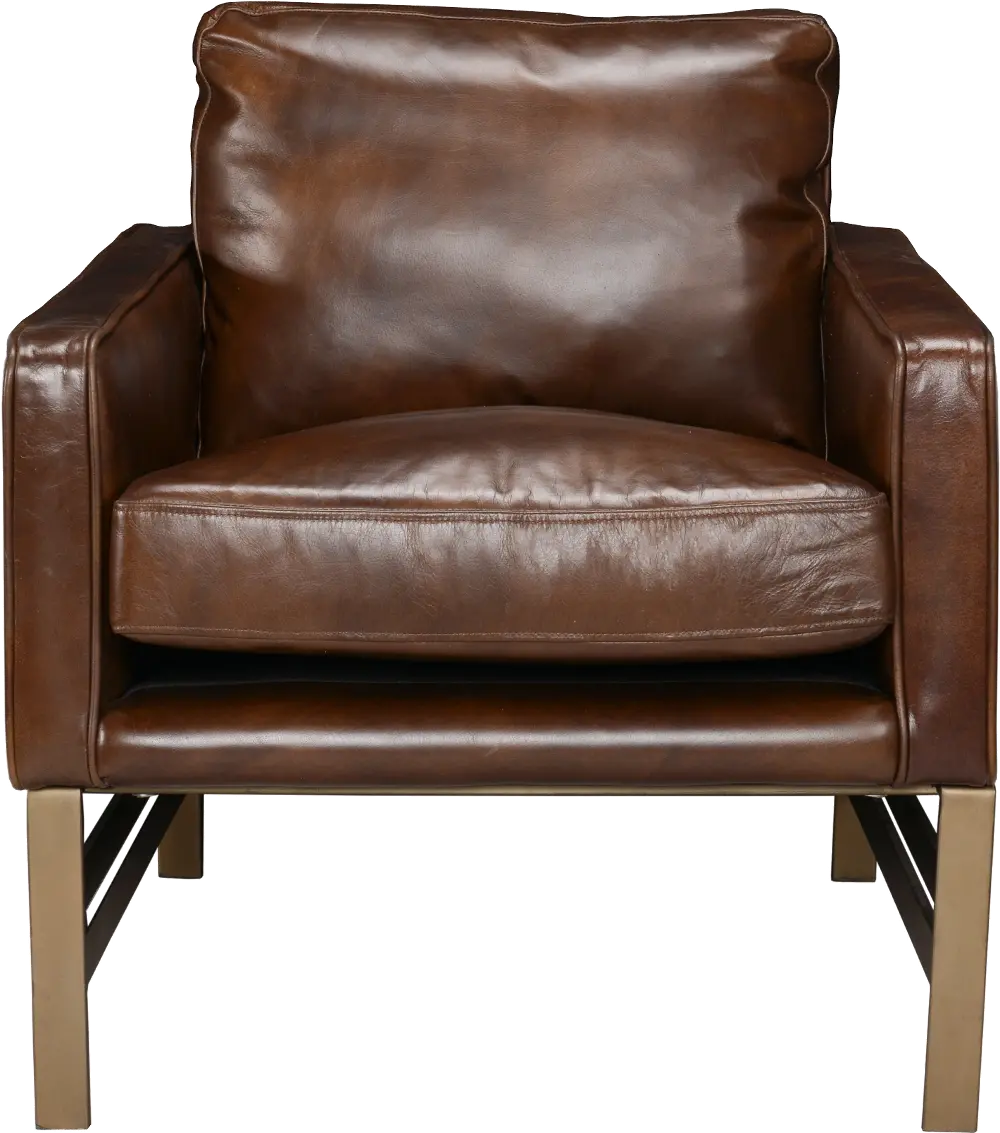Chazzie Brown Accent Chair-1