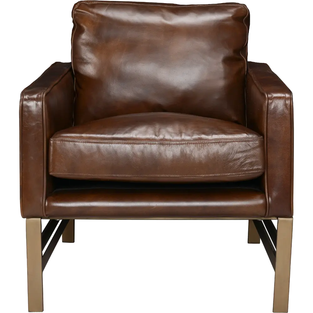 Chazzie Brown Accent Chair-1