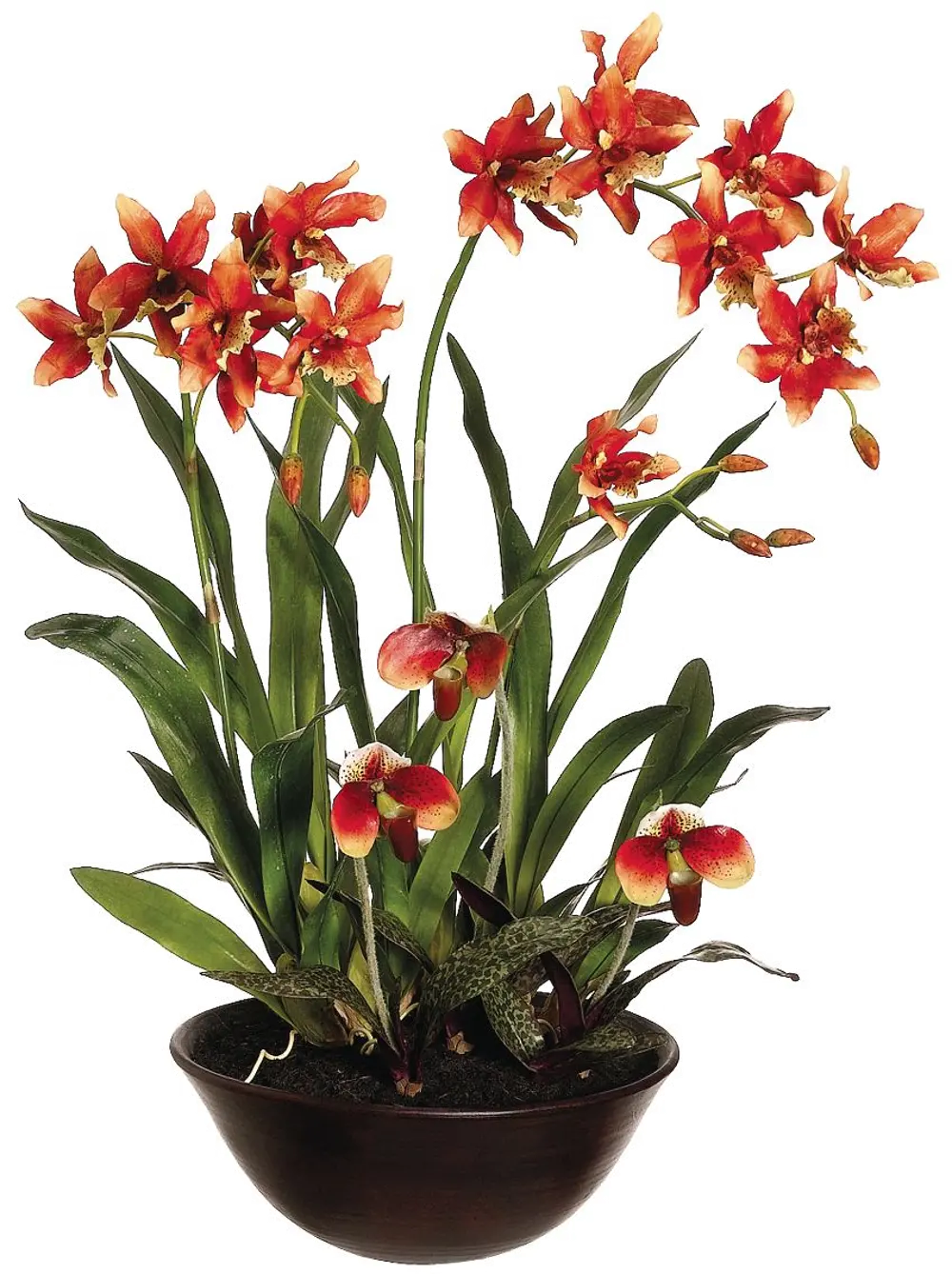 28 Inch Oncidium Dancing Lady's Orchid Flower-1