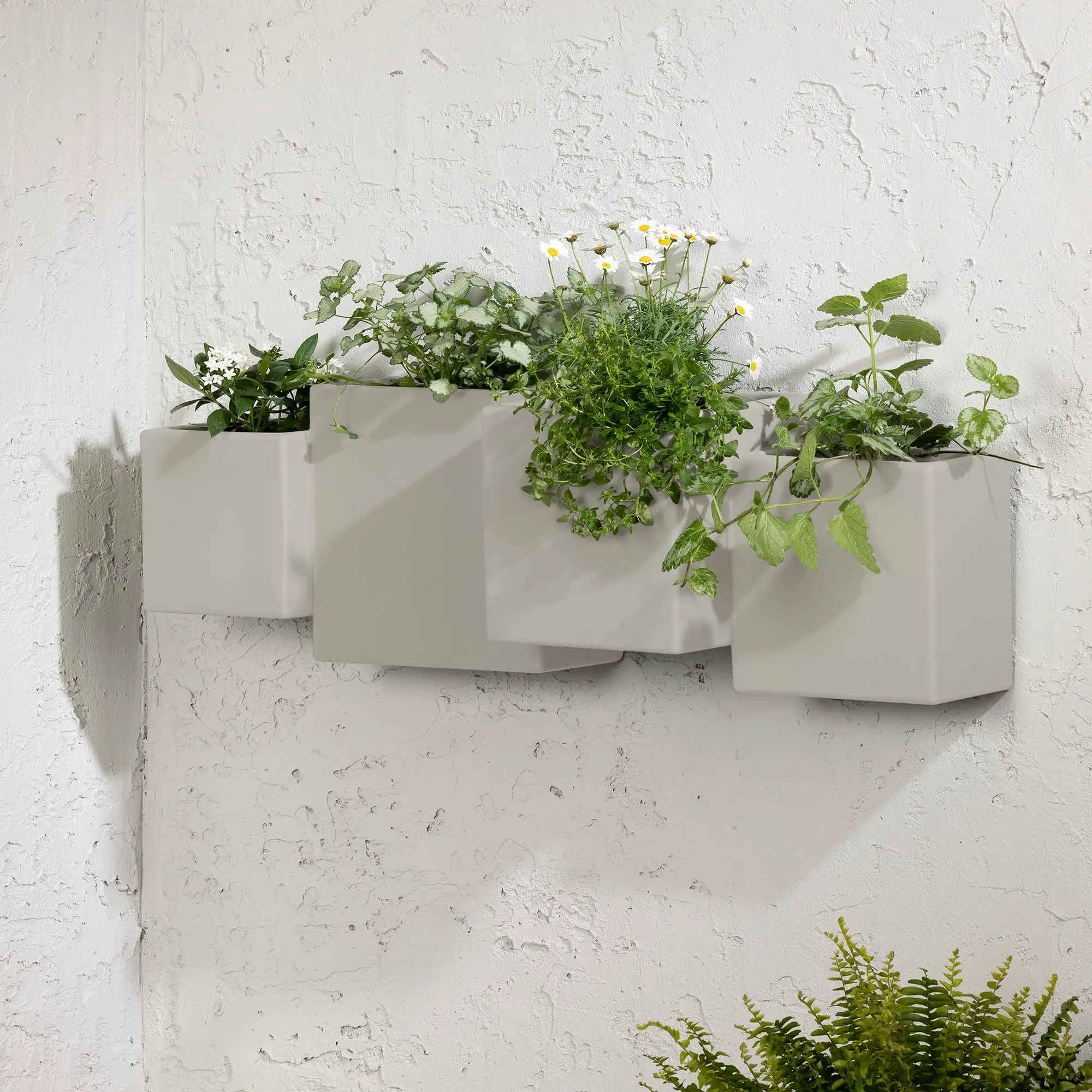 Dalya Set of 2 Greige Outdoor Wall Planters - South Shore