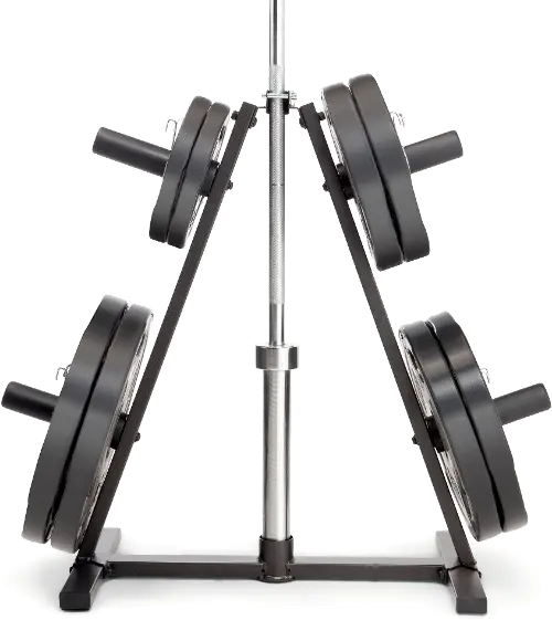 Impex best sale squat rack