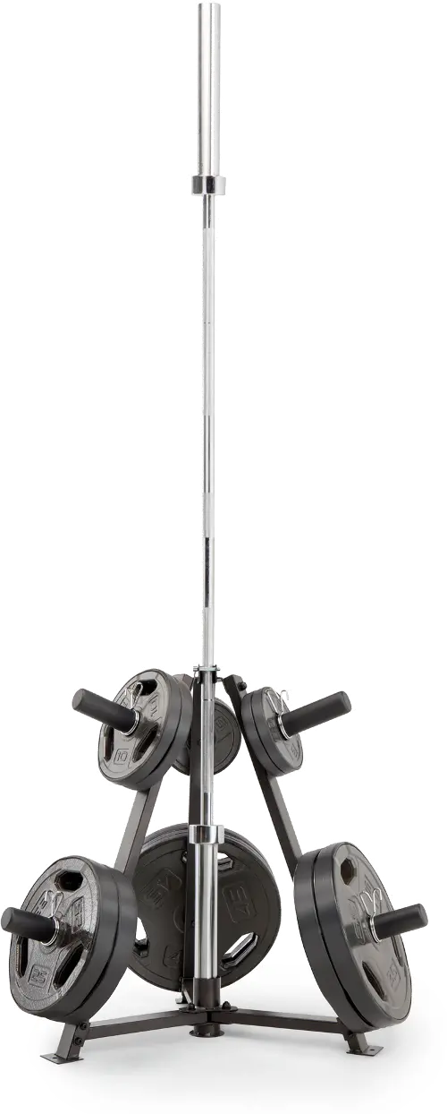 Impex Black 6-Peg Olympic Weight Plate Tree and Vertical Bar Holder