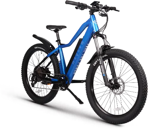 Elektron discount fat bike