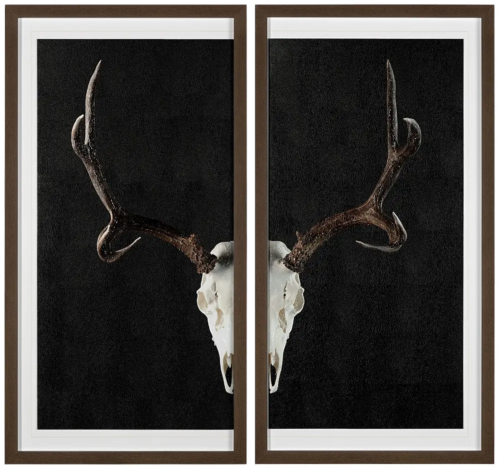 Deer Skull Framed Art-1