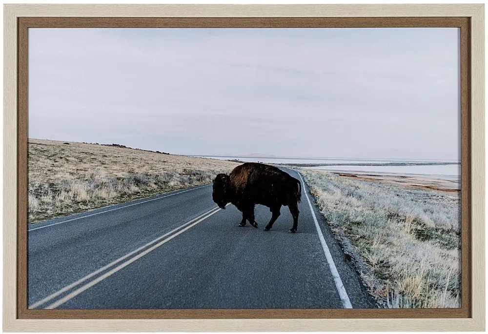 Bison Crossing Framed Art-1