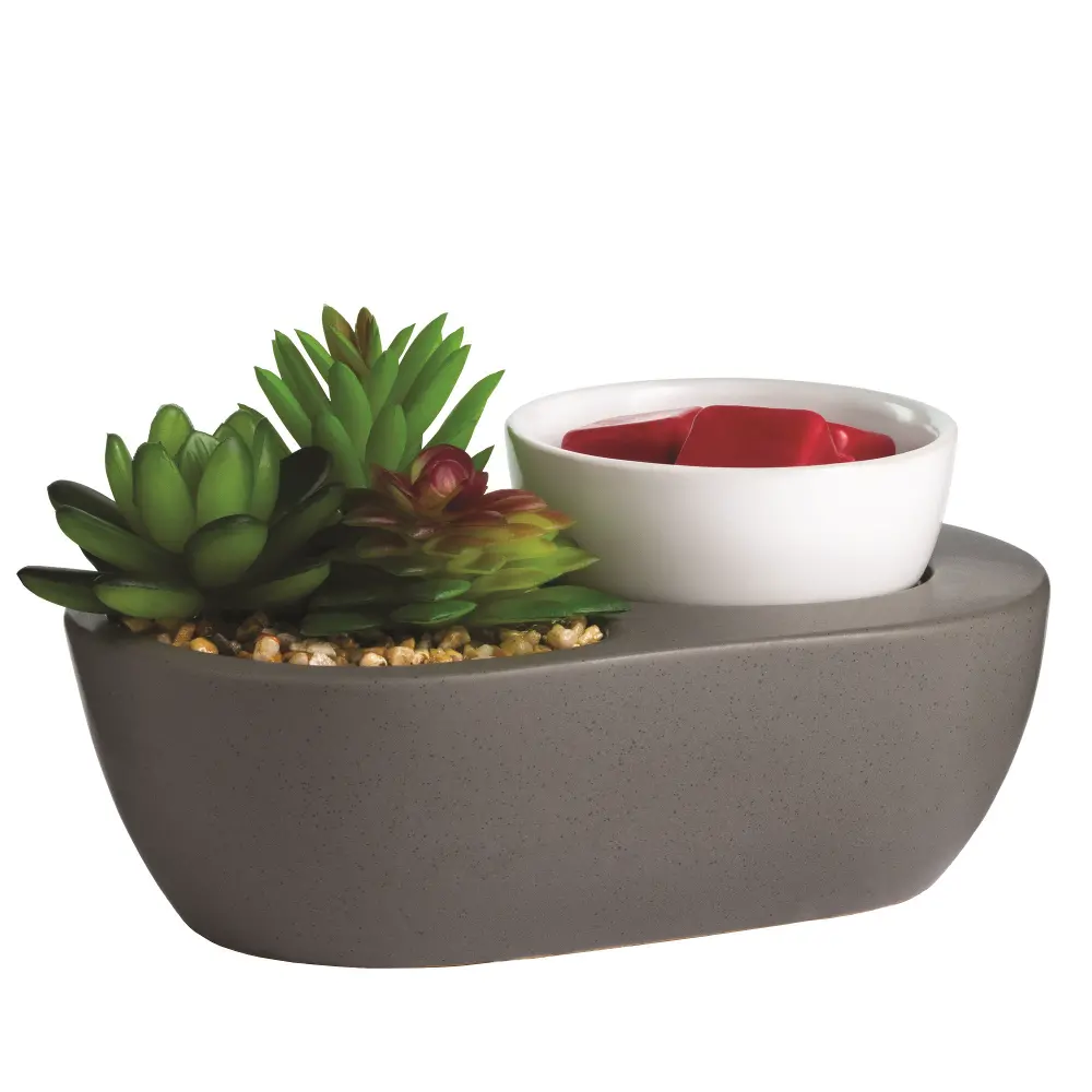 Succulent ArtScents Wax Warmer-1