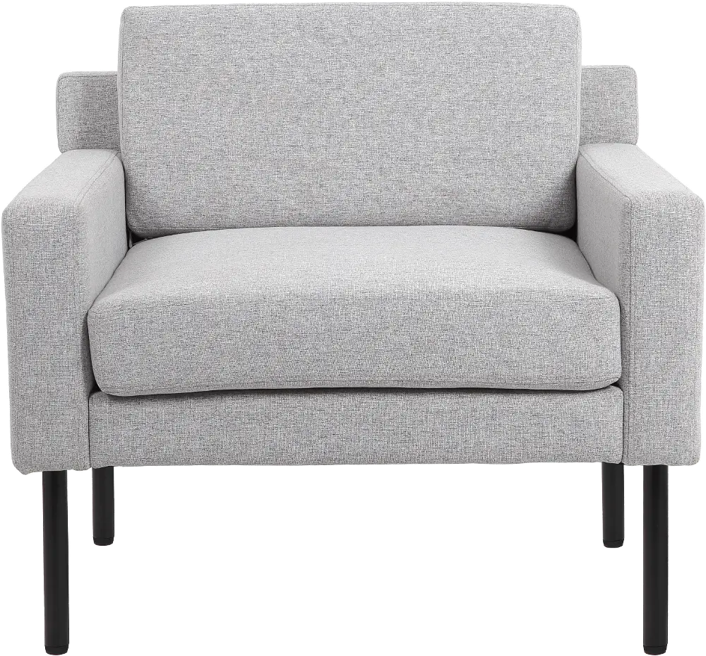 Gray Modern Lounge Chair-1