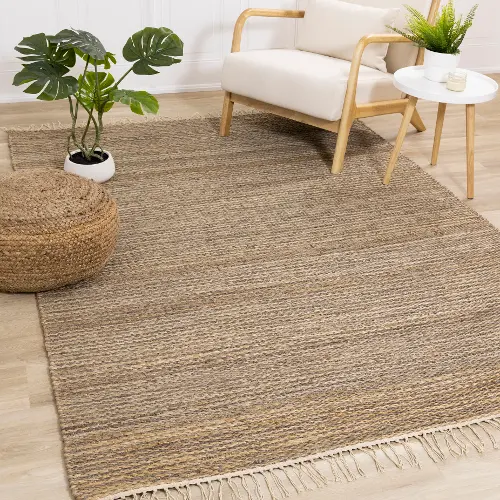 Braided Jute Area Rug