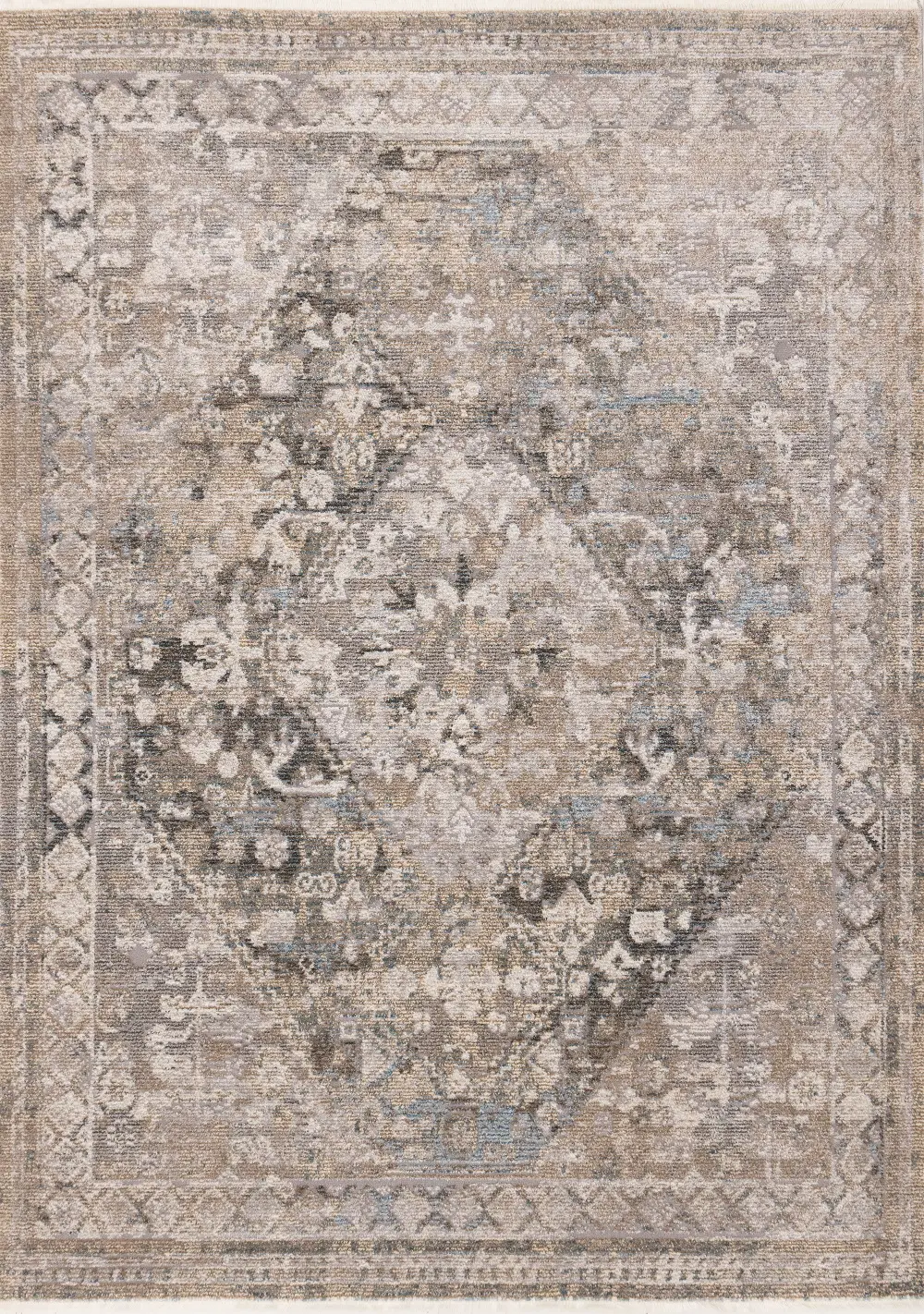 Evora Grey and Beige 5 x 8 Traditional Area Rug-1