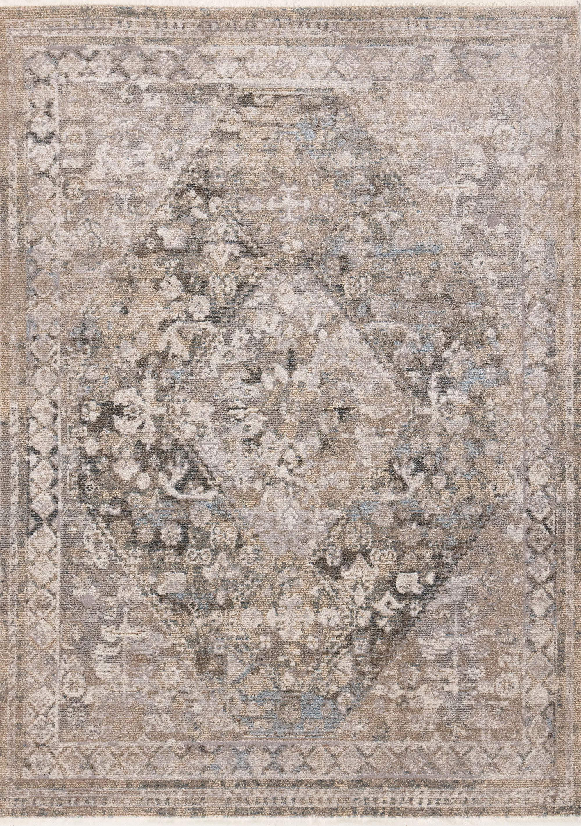 Evora Grey and Beige 8 x 10 Traditional Area Rug