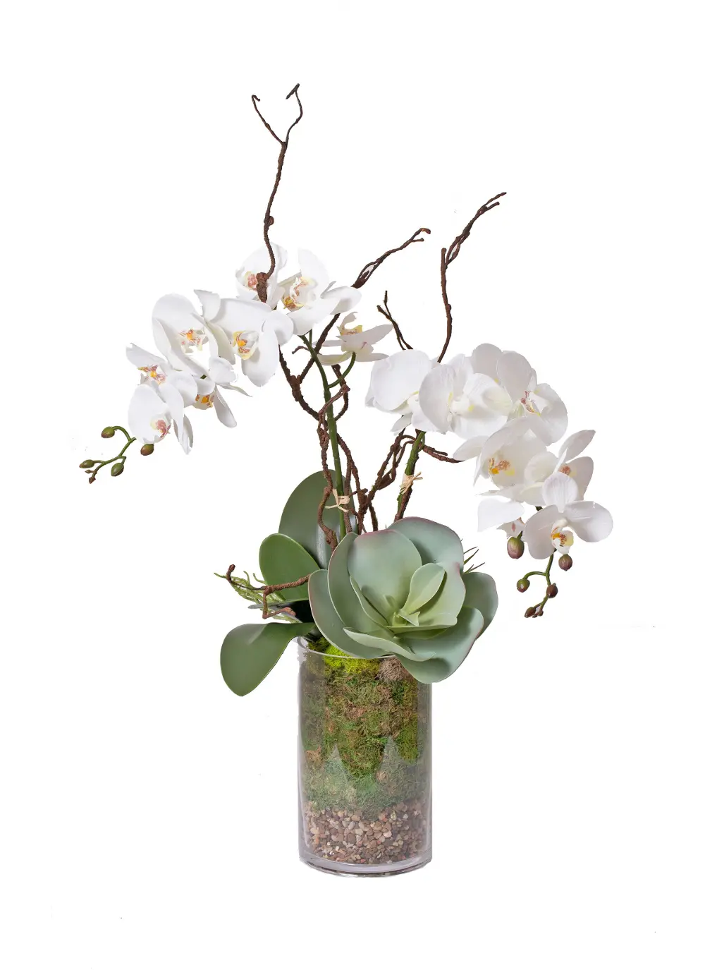 33  White Orchids in Glass Vase-1