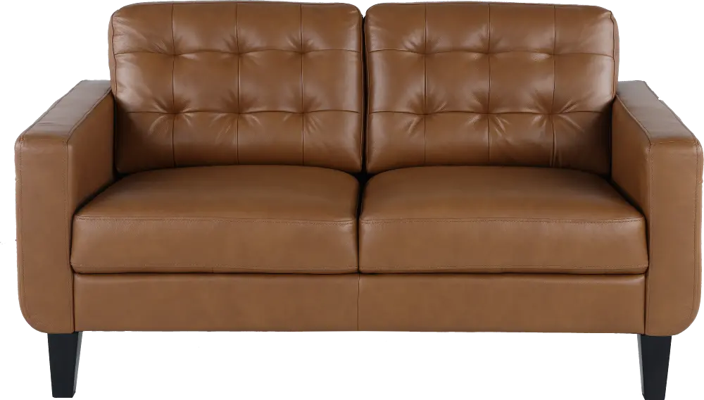 Cameron Brown Leather Loveseat-1