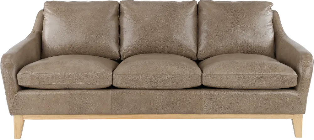 Cammack Sandy Brown Leather Sofa-1