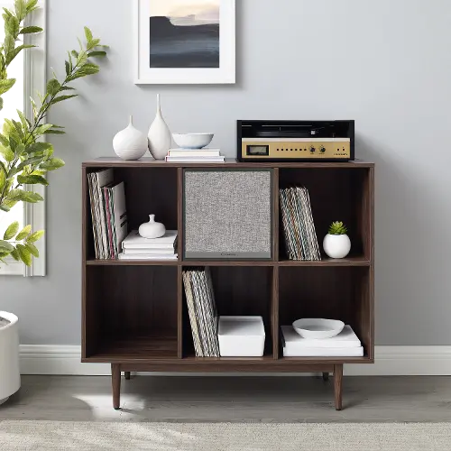 Liam Large Record Storage Console Cabinet - Shop Liam