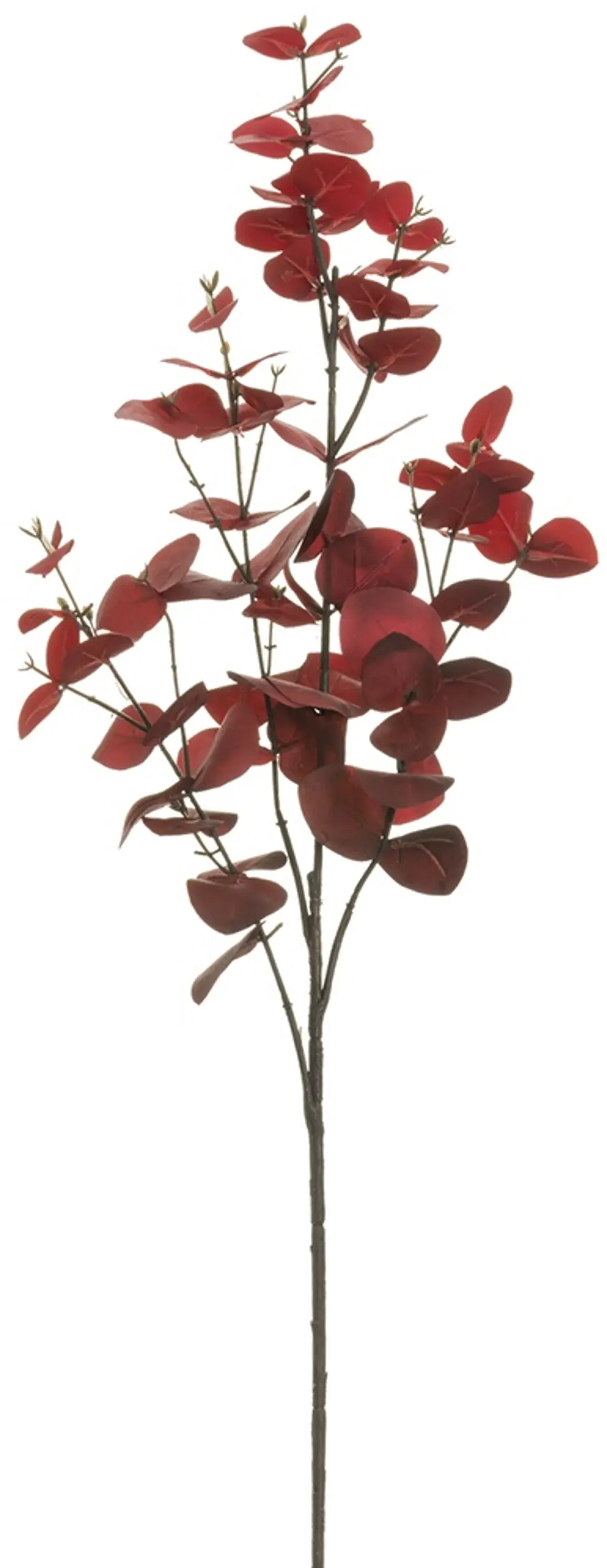 37  Red Eucalyptus Spray-1
