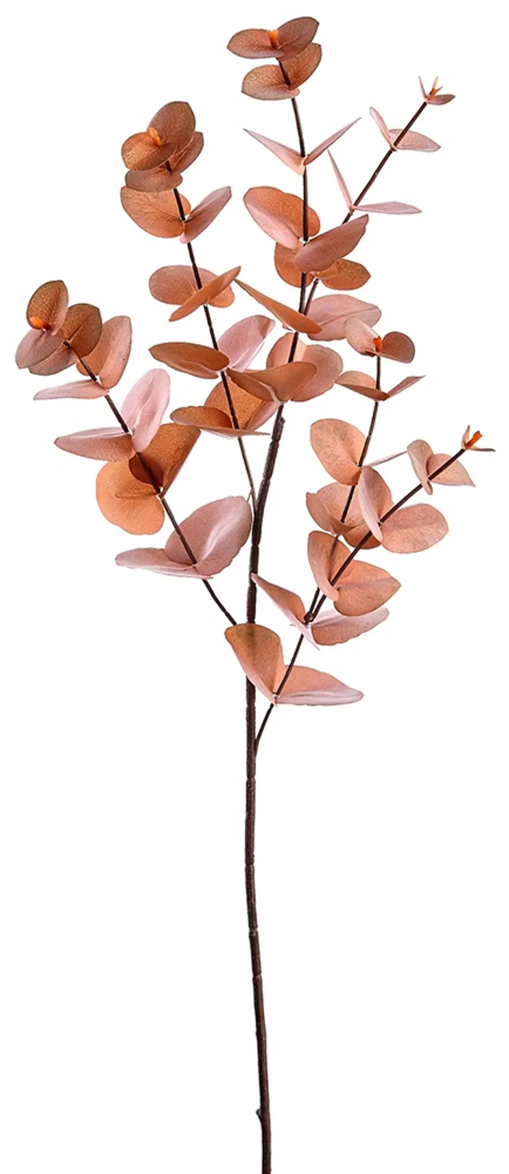 34  Copper Eucalyptus Stem Spray-1