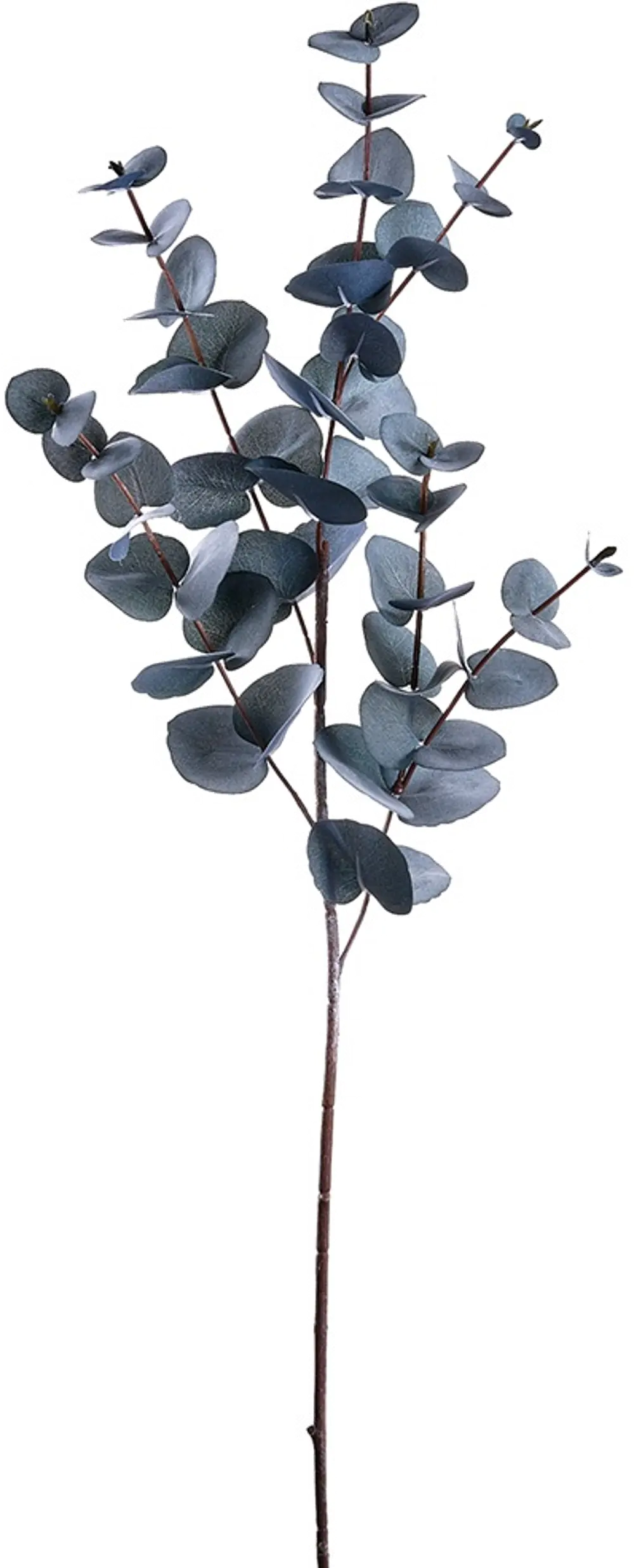 34  Black and Gray Eucalyptus Spray-1