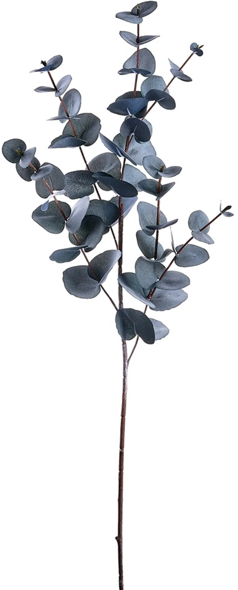 34 Inch Black and Gray Eucalyptus Spray-1