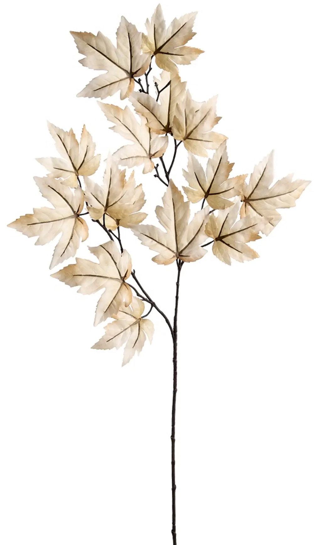 36  Beige Maple Leaf Spray-1