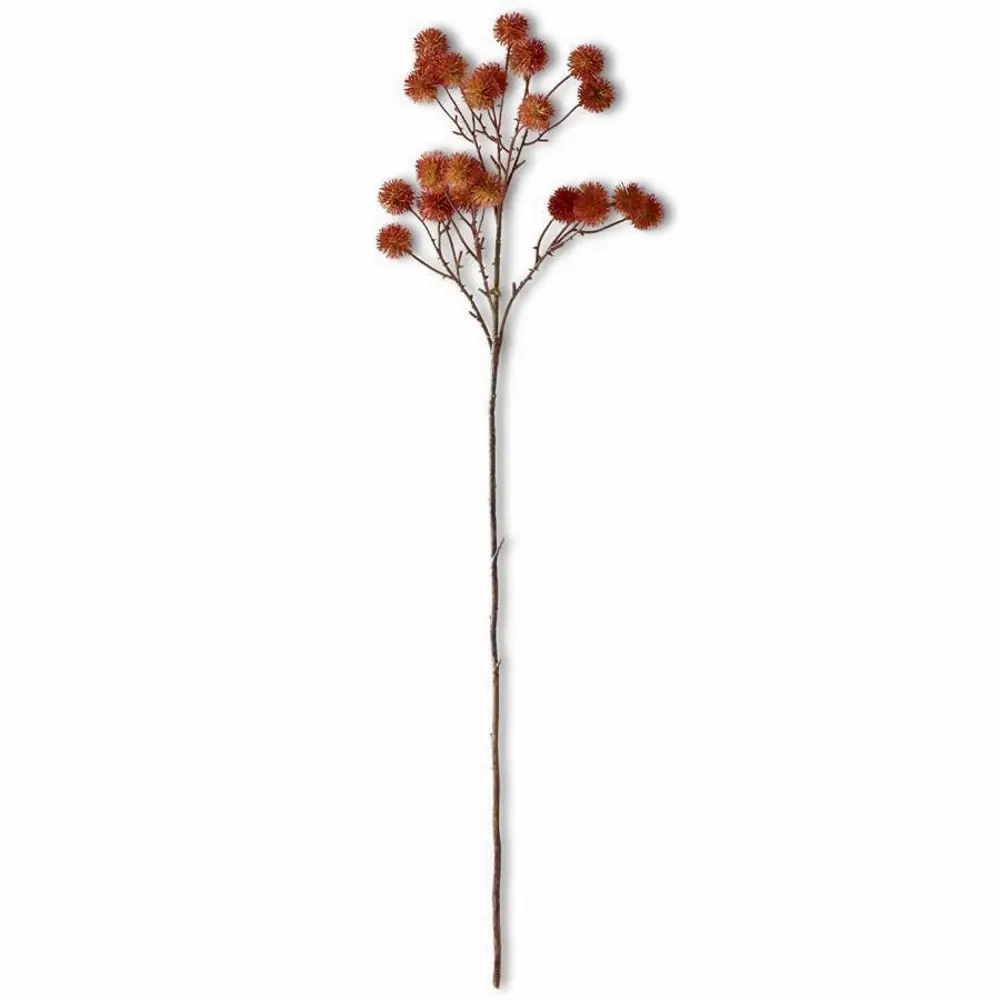 29  Orange Sycamore Stem-1
