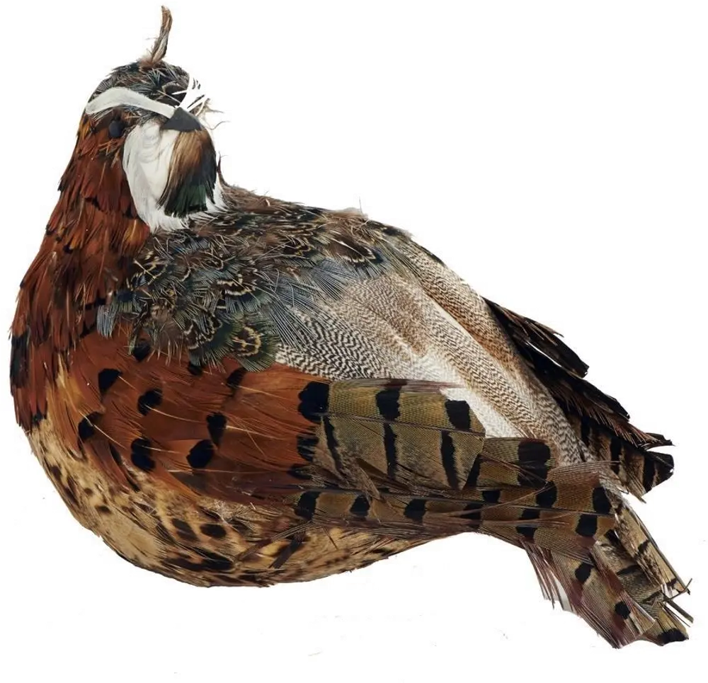 51 Inch Brown and Green Feathered Quail-1