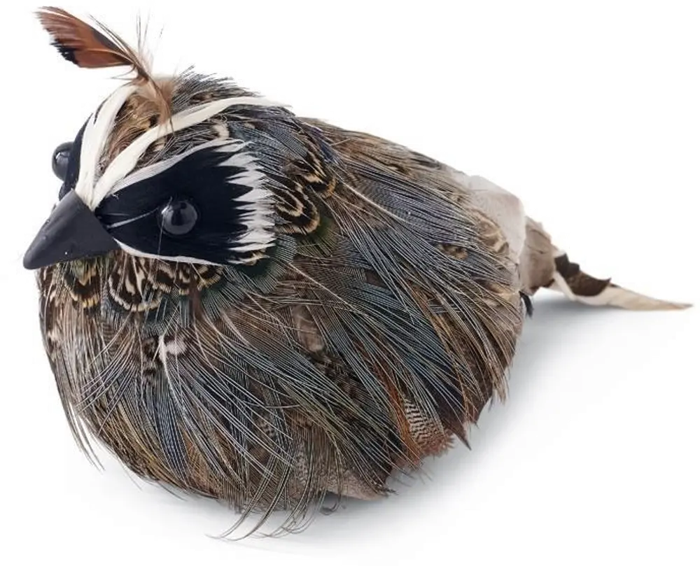 4 Inch Feathered Quail-1