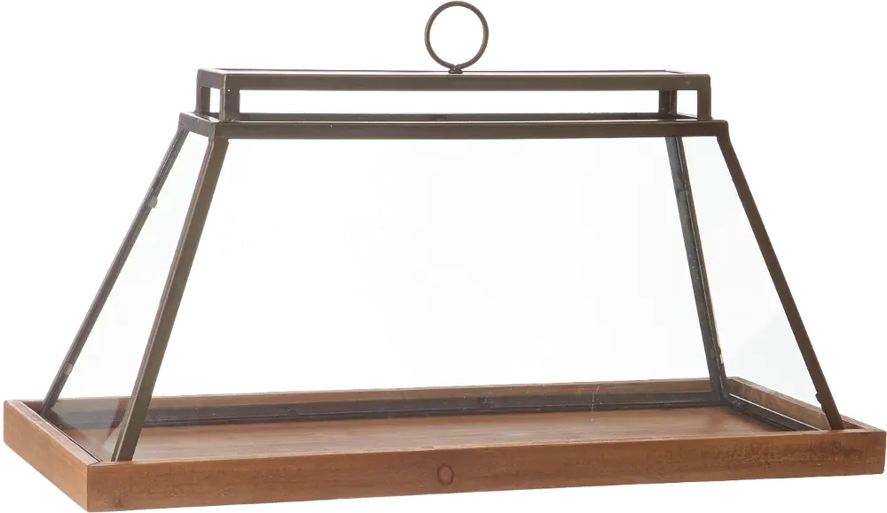X4227954/TERRARIUM 14.25  Terrarium-1