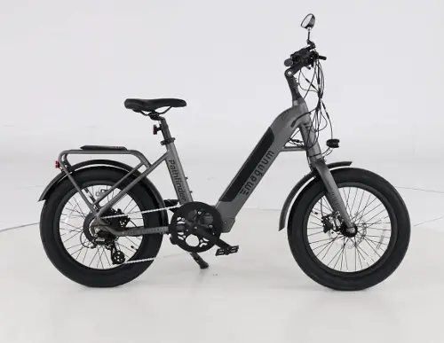 48 volt orders 500 watt electric bike