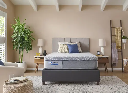 Sealy Elsanta Hybrid Firm Full Mattress RC Willey