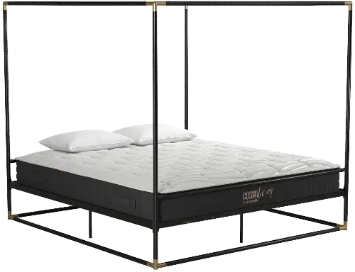 Celeste Canopy Black and Gold King Canopy Bed