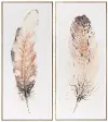 Vari Feathers Framed Art