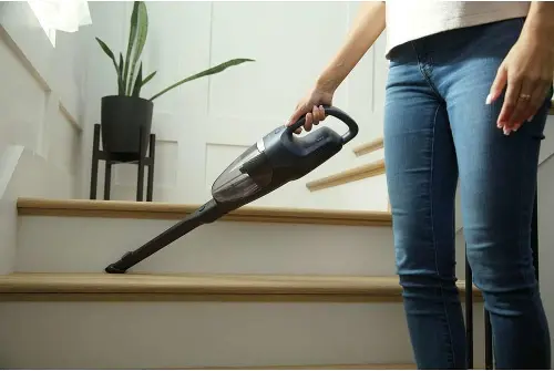 https://static.rcwilley.com/products/113400632/Electrolux-WellQ7-Pet-Vacuum-rcwilley-image4~500.webp?r=3