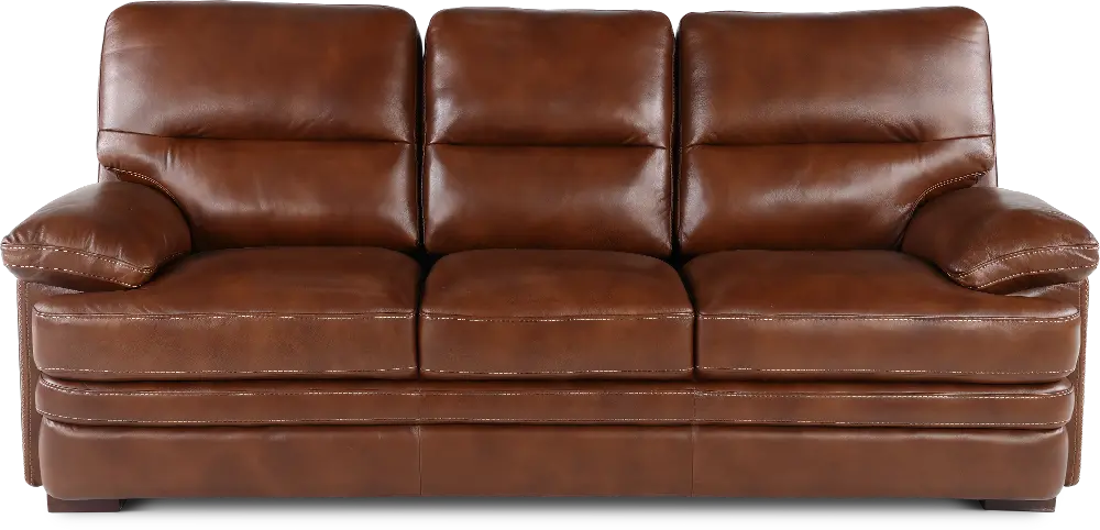 David Brown Leather Sofa-1