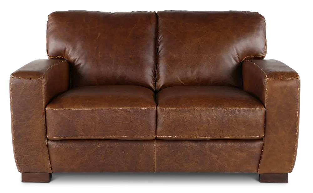 Dakota Brown Leather Loveseat-1