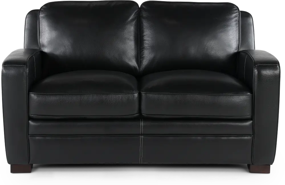 Stallion Black Leather Loveseat-1