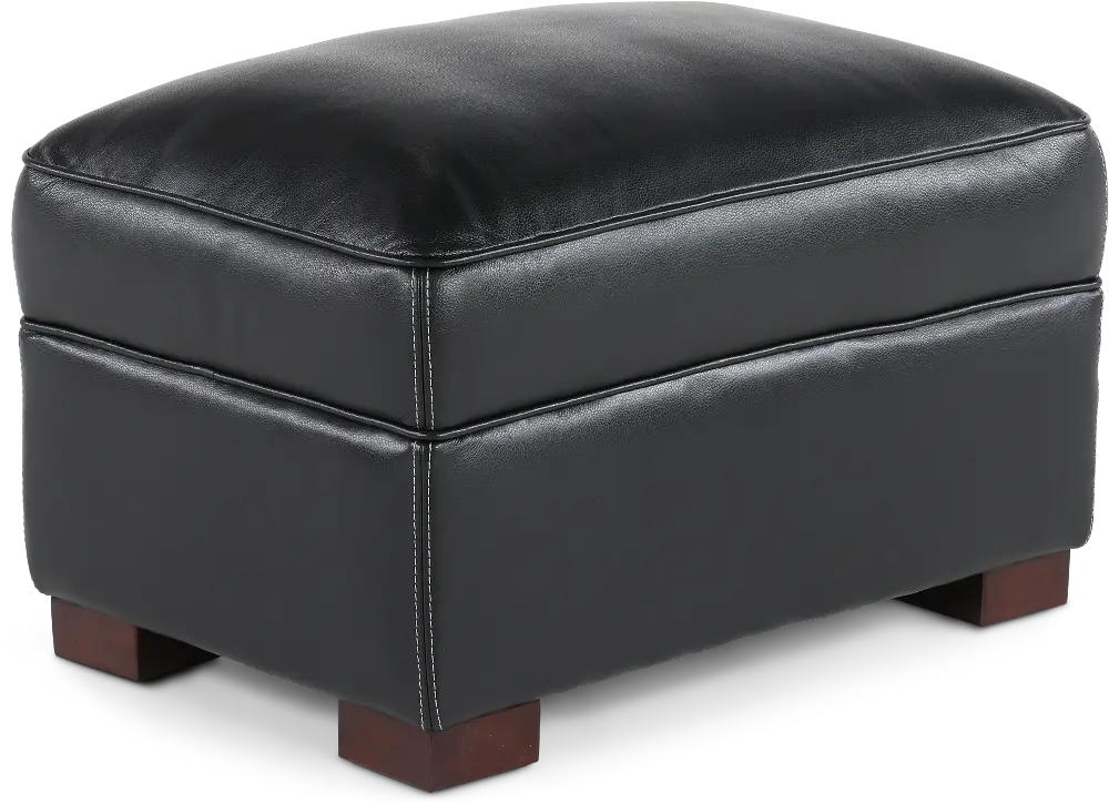 Stallion Black Leather Ottoman-1