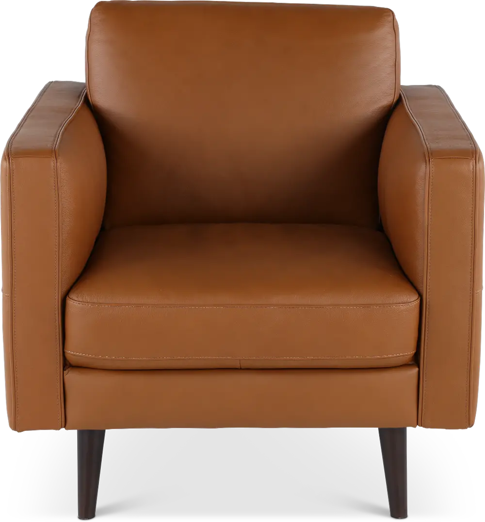 C092-003/AOD7 Destrezza Brown Leather Chair-1