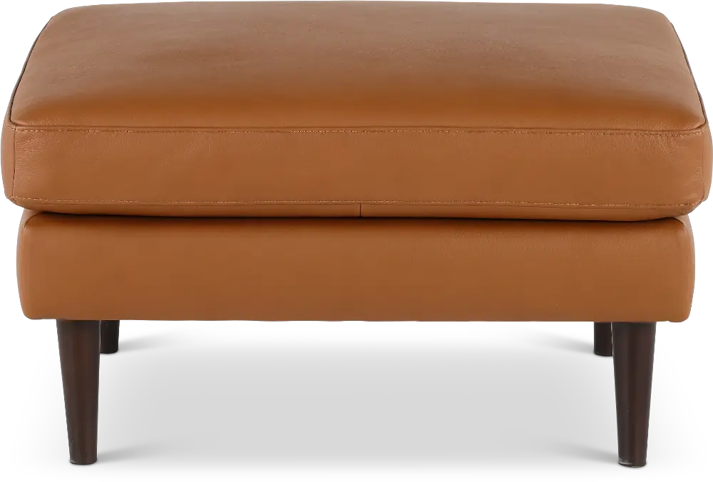 C092-010/AOD7 Destrezza Brown Leather Ottoman-1