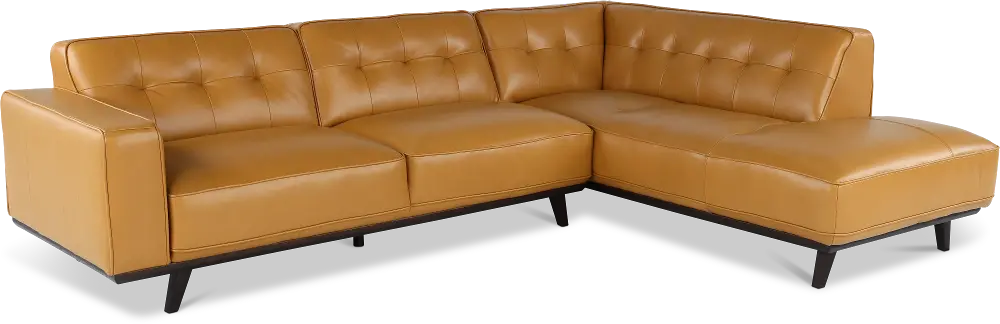Madison Tan Leather 2 Piece Sectional-1