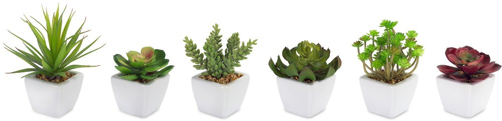 White Flower Pots