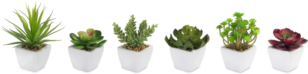 Assorted White Botanical Pot-1