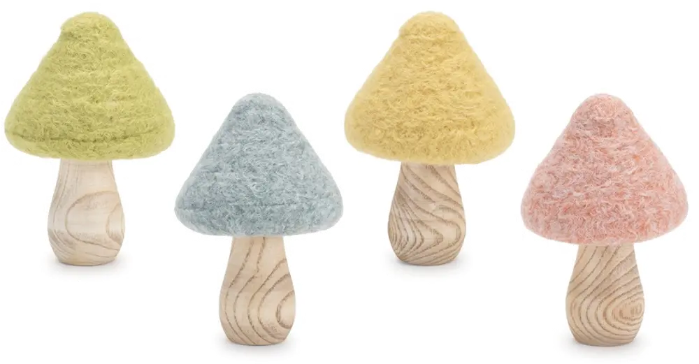 Assorted Woody Wool Mushrooms-1