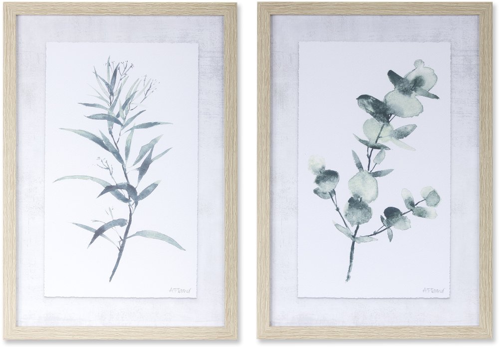 Assorted Eucalyptus Framed Art