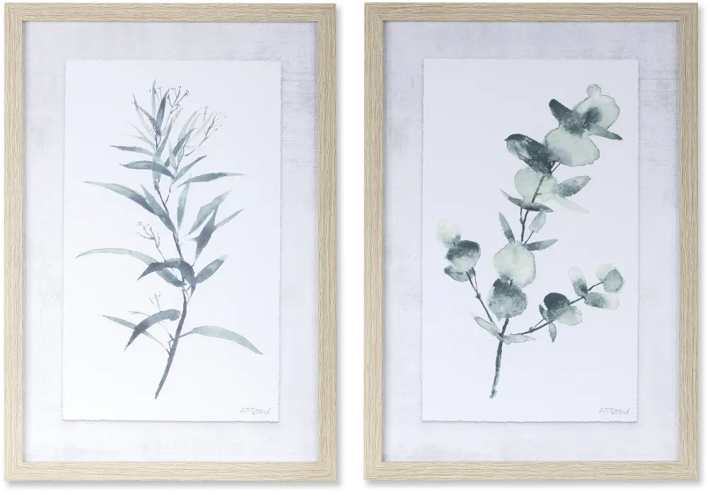 Assorted Eucalyptus Framed Art-1