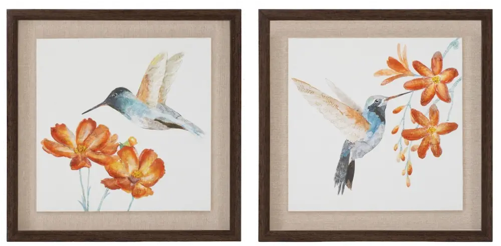 Assorted 12 Inch Hummingbird Print-1