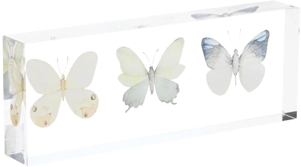 Acrylic Butterfly Block Decor-1