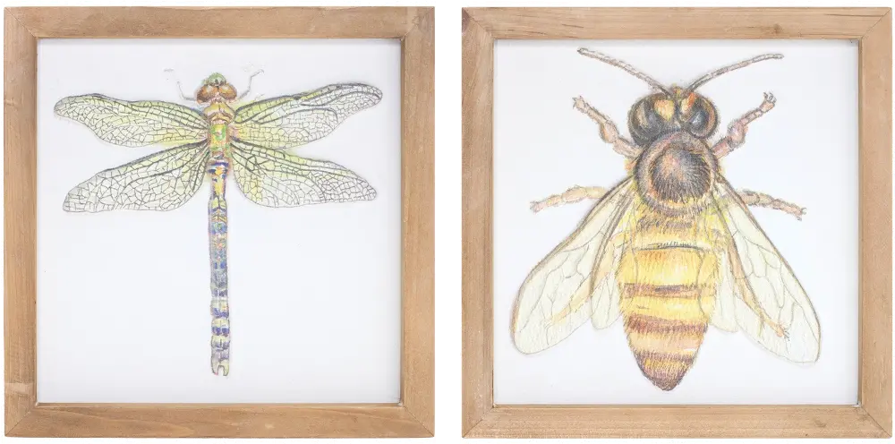 Assorted Insect Framed Plaque-1