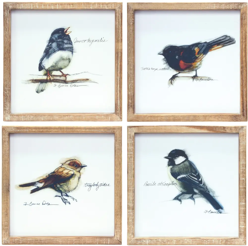 Assorted Wood Framed Bird Prints-1